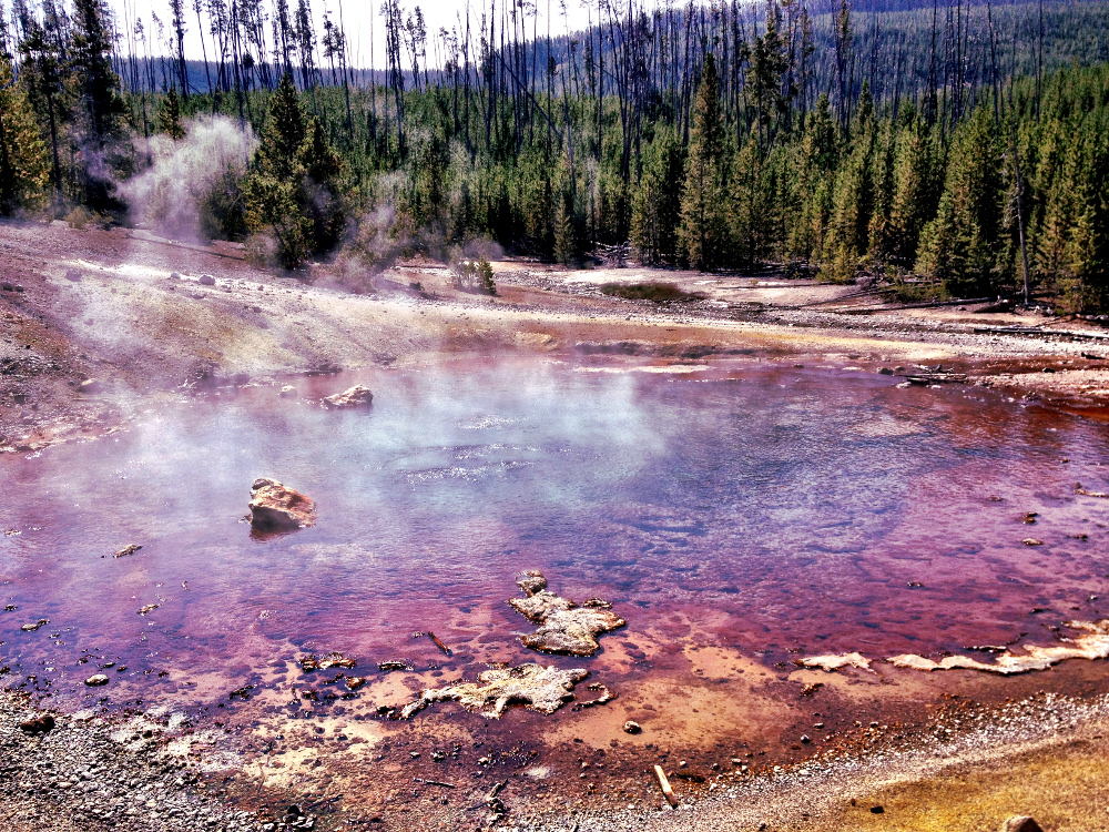 Steam rising from a geyser at Yellowstone Double-Barrelled Travel