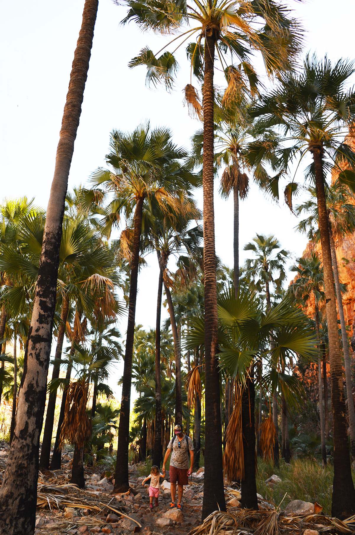 El Questro Gorge palm trees Double-Barrelled Travel